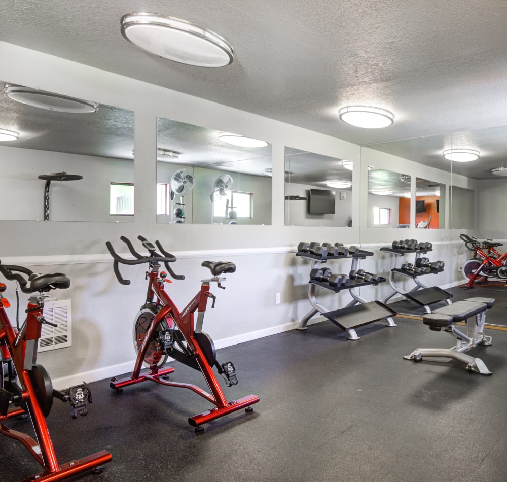 Fitness Center at Terra Apartment Homes in Federal Way, Washington