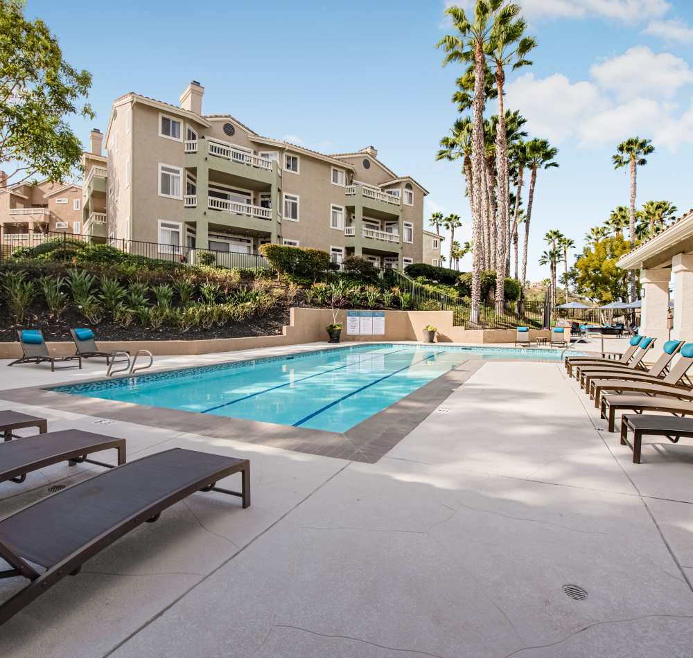 Lap pool surrounded by chaise lounge chairs at Sofi Canyon Hills in San Diego, California