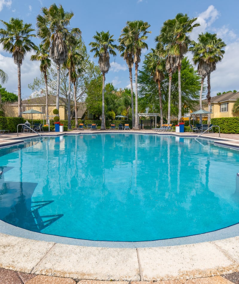 Swimming pool at Citrus Tower | Apartments in Clermont, Florida