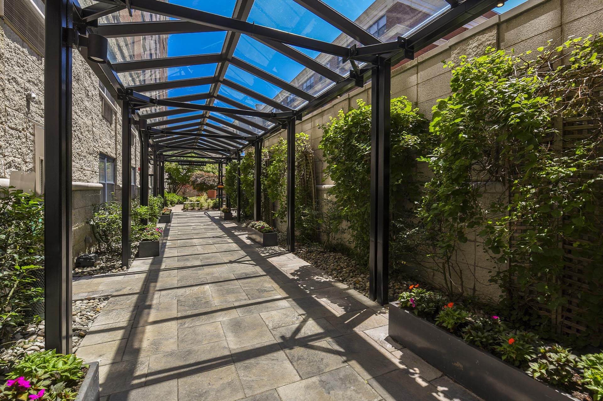 Resident walkway lined with greenery at The Monroe in Morristown, New Jersey
