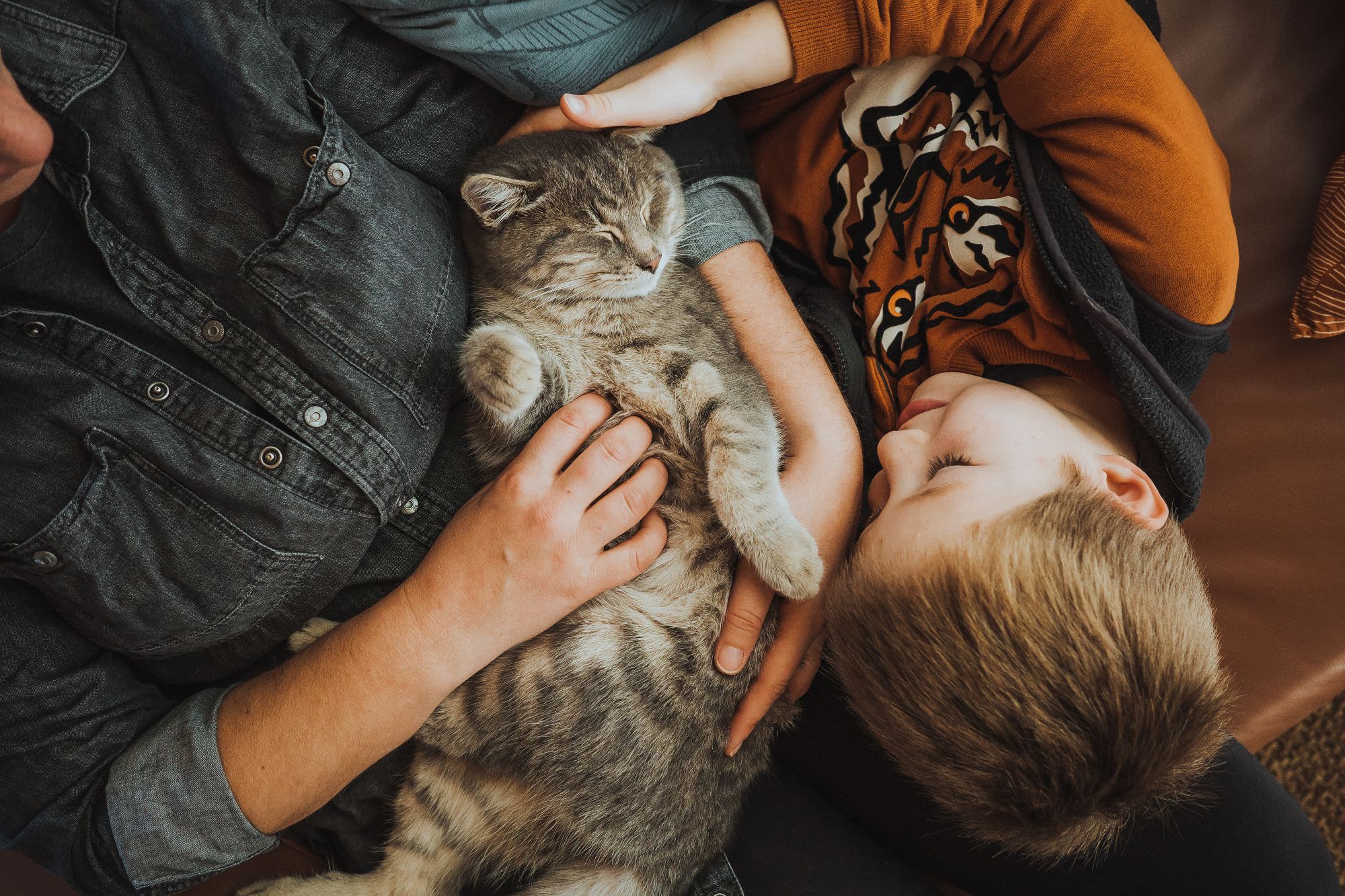 Cuddling a cat at Pearl Creek in Roseville, California