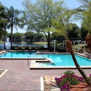 Carrollwood Tampa Fl Apartments For Rent Avion At Carrollwood