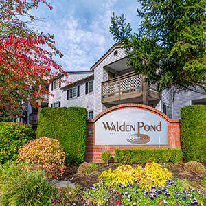 Photos Of The Winsley In Everett Wa