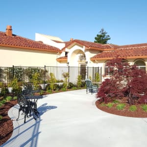 Peninsula Reflections in Colma