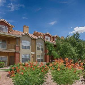 north scottsdale az apartments sonoran vista apartments
