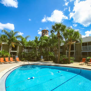 Apply Now Signal Pointe Apartment Homes Online Application