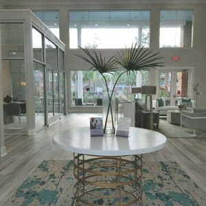 Amenities At Ingleside Apartments Include High Ceilings