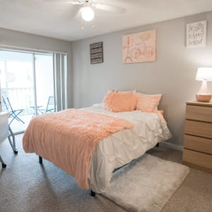 ＥＺ　ＢＥＡＴ・ＯＮ50 ON50 Apartments in Tampa, Florida - ApartmentsForBulls