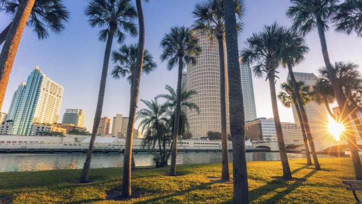 A view of the palm trees, waterfront, and city skyline at a park in Tampa.