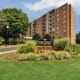 Cedar Gardens and Towers Apartments & Townhomes Photo
