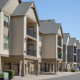 Springville Oaks Photo