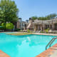 Raintree Photo
