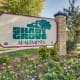 Shady Grove Apartments Photo
