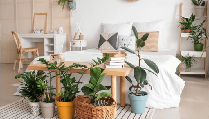 Bed pottery barn west elm design apartment therapy seld storage near me 