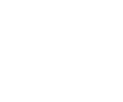 STINTINO MANAGEMENT LLC