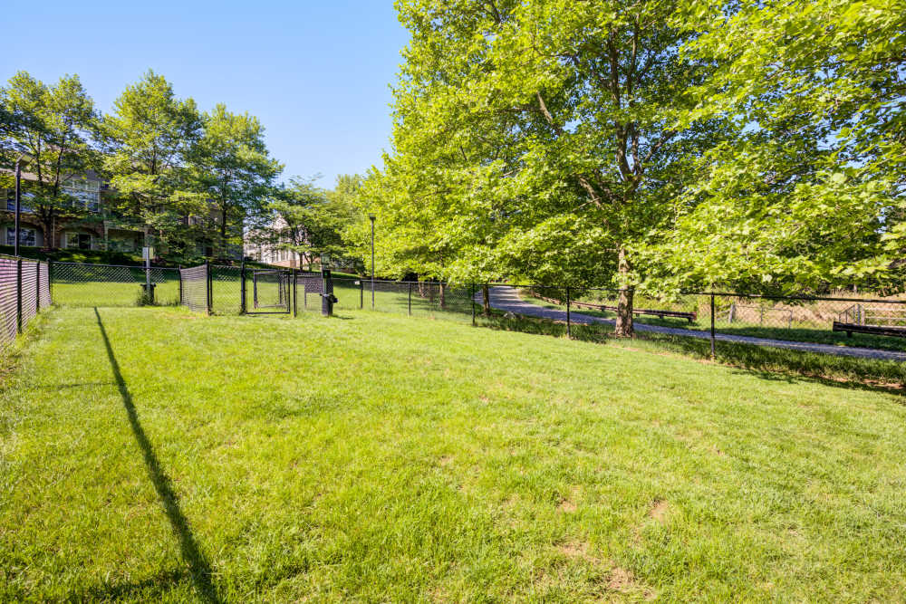 Dog run at The Residences at Waterstone in Pikesville, Maryland