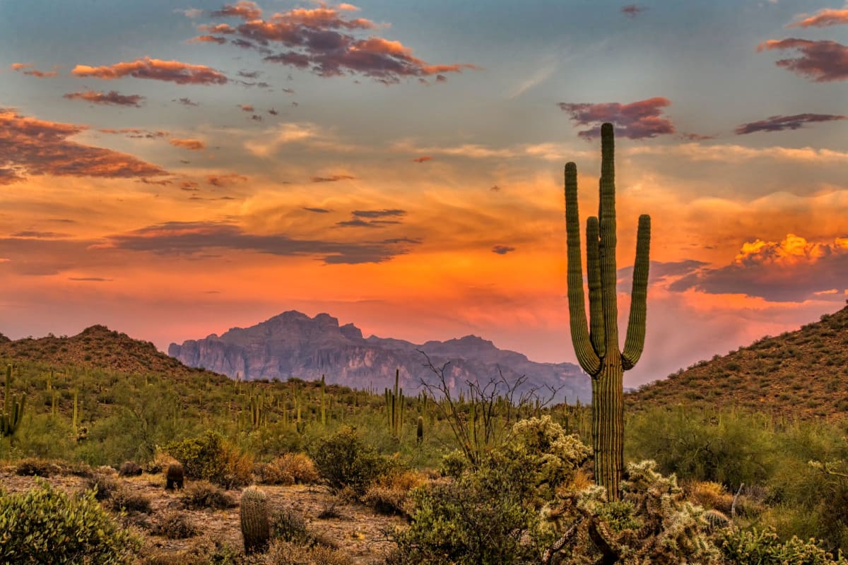 Sunset with mountains and cactus near The Retreat at Rio Salado, Tempe, Arizona