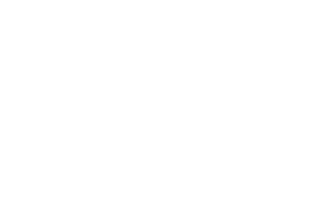 Latitude 2976