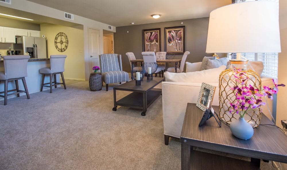 Photos of Our Apartments in Moore Mission Point Apartments