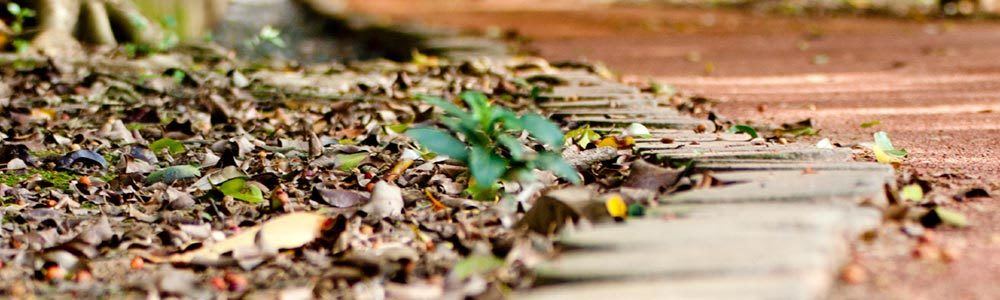 Our apartments in Wichita, Kansas are located in a convenient area