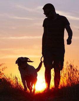 Pets are welcome at our luxury apartments