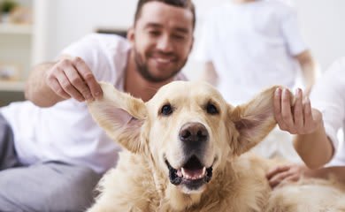 Pet friendly apartments in Snoqualmie WA