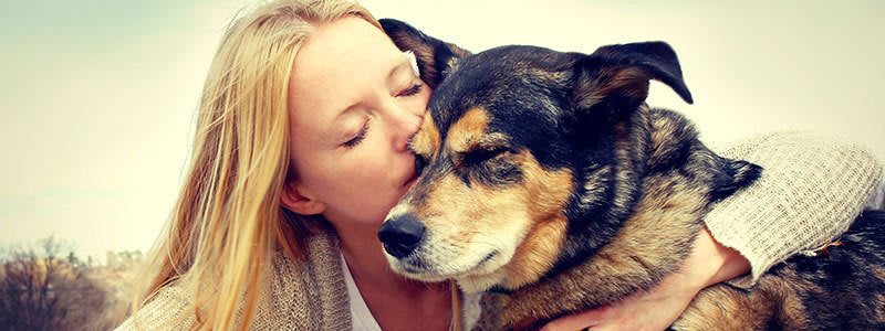 Dog Friendly at Eight O Five