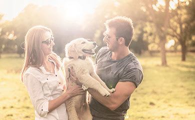 Pet friendly apartments in Austin TX