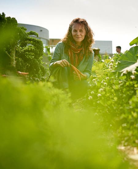 Living Green at Berkshire