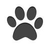 Learn about our pet friendly apartments