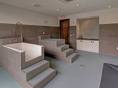 Enjoy the pet spa at our luxury Atlanta, GA apartments
