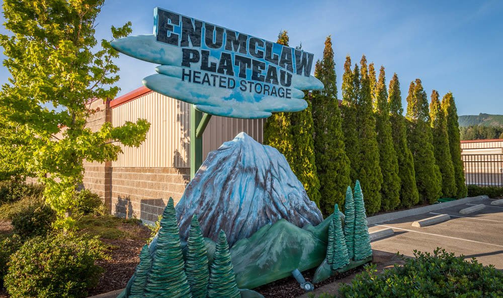 Enumclaw Plateau Storage Dandk Organizer