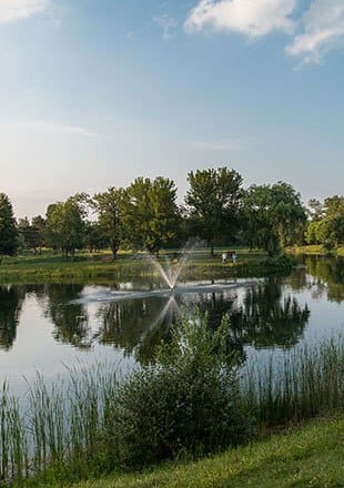 West Webster apartments for rent
