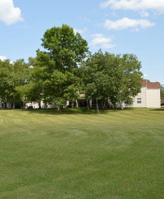 West Henrietta apartments for rent