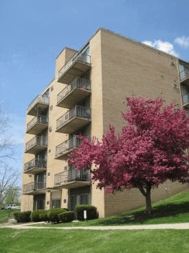 Oakwood Village apartments for rent