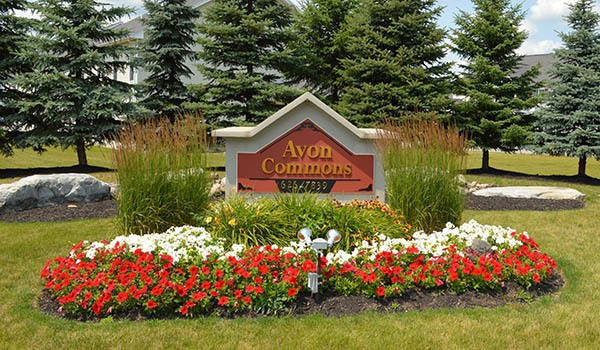 See what all Avon Commons has to offer in Avon