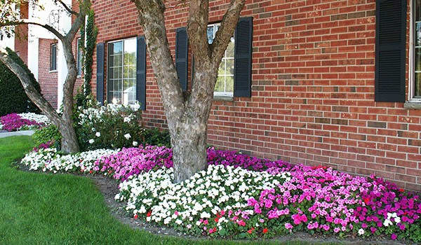 Other amenities offered at Waverlywood Apartments and Townhomes