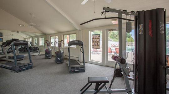 Emerald Springs Apartments in Painted Post is pet friendly
