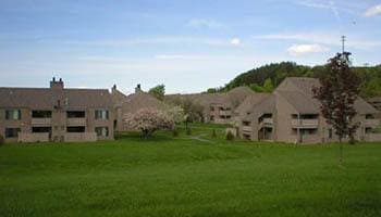 Other amenities offered at Steeplechase Apartments