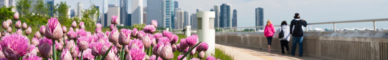 Resident services at our apartments in Chicago