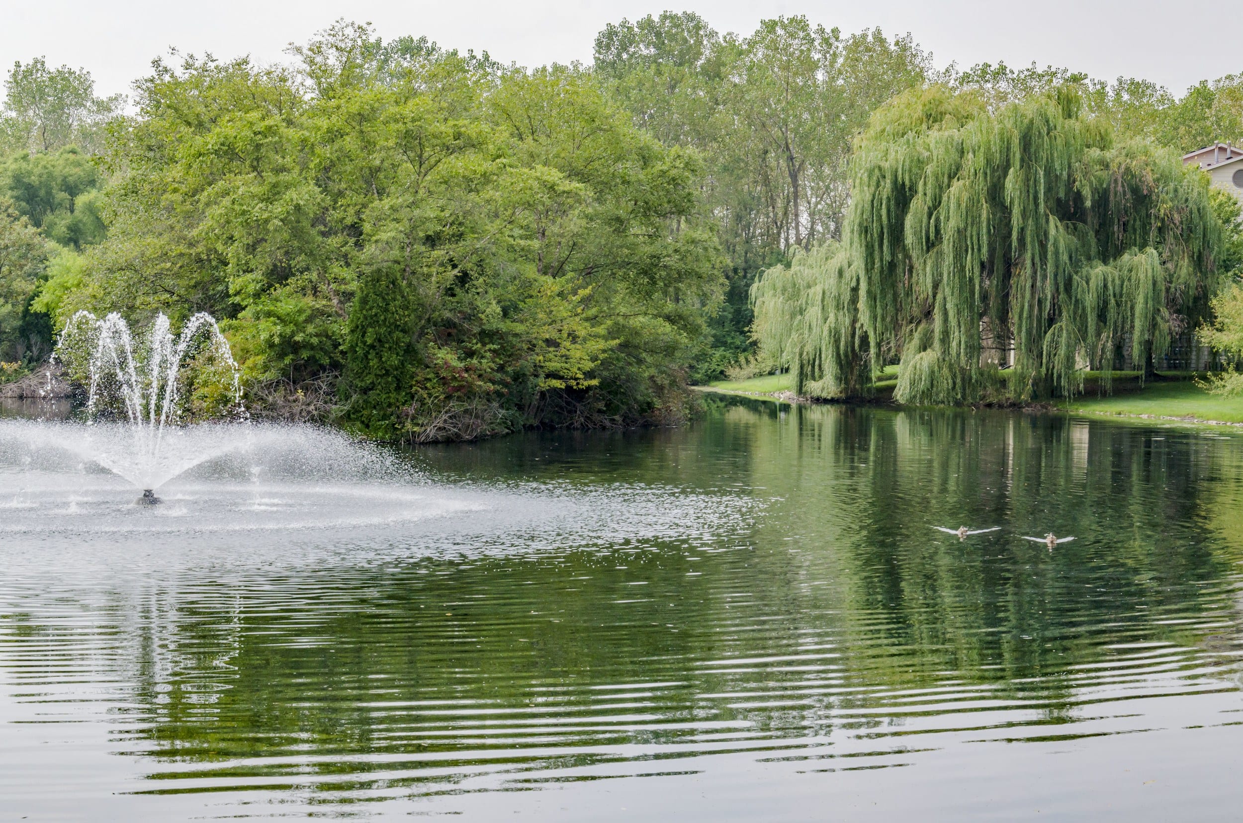 The Lakes at 8201 apartments have luxury in the details.