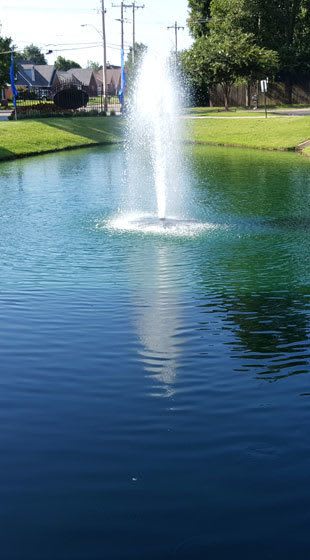 apartments for rent in Memphis TN