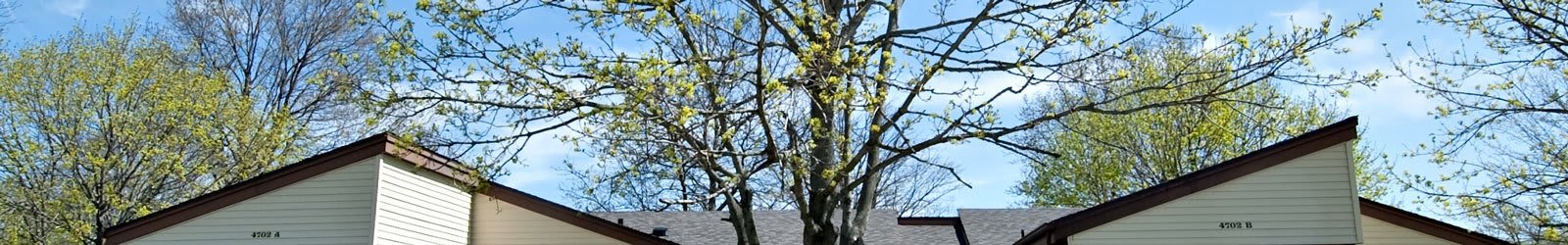 Dover, DE apartments for rent