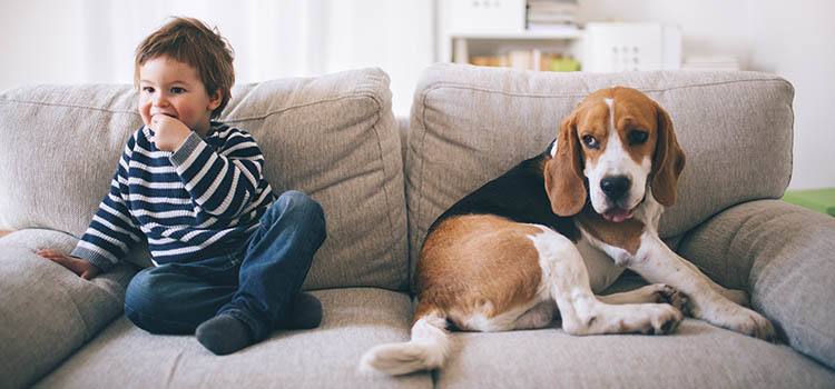 The Edge in Richmond welcomes your pets