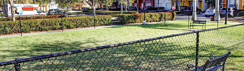 View our pet policy at The Sophia at Abacoa in FL