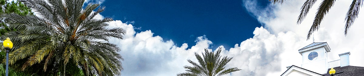 Floor plans at Lexington Park at Westchase