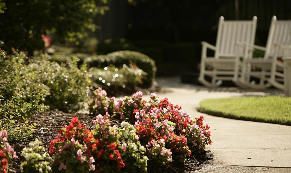Relax around our wonderful senior living facility in Huntsville
