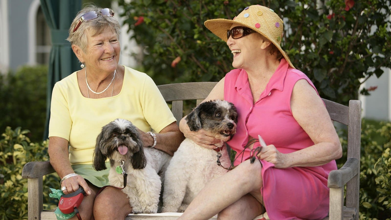 Happy and independent residents take their dogs for a walk at HarborChase.