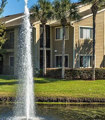 Palencia Apartments offers an impressive list of Apartment Features and Community Amenities