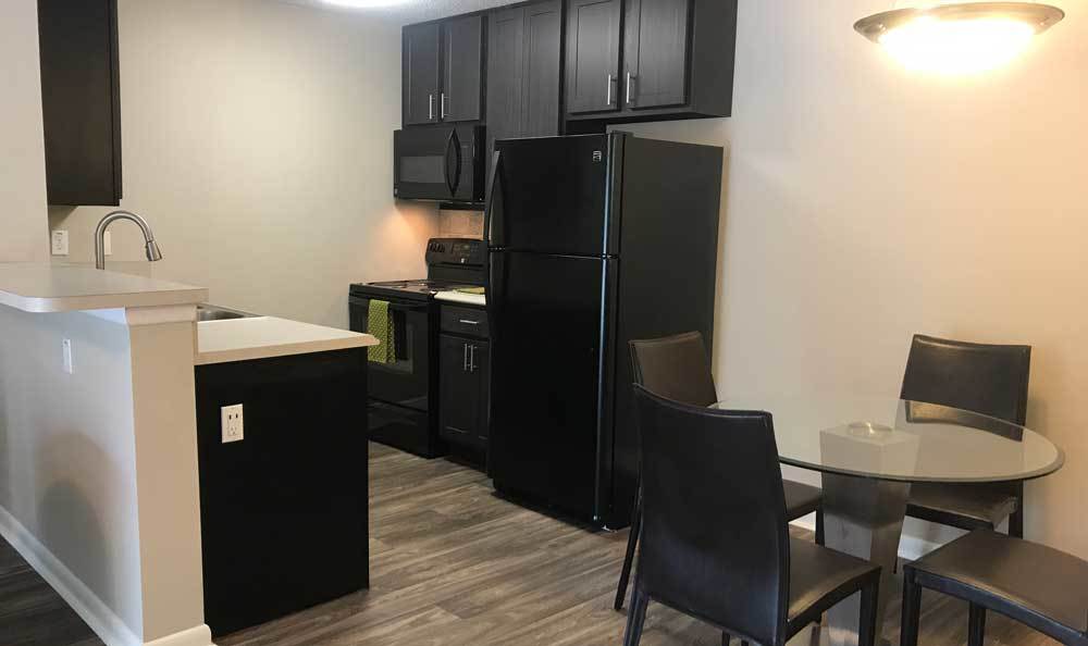 Carrollwood Apartments for Rent in Tampa, FL Palencia Apartments